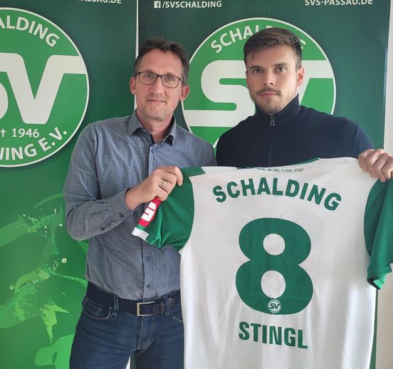 Transfer Stingl